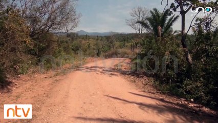 Colegio de abogados asegura que la sentencia del TCP viola la CPE
