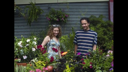 Flores da Primavera | movie | 2023 | Official Trailer