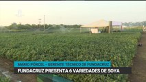 Fundacruz presenta 6 variedades de soya en Feria Vidas