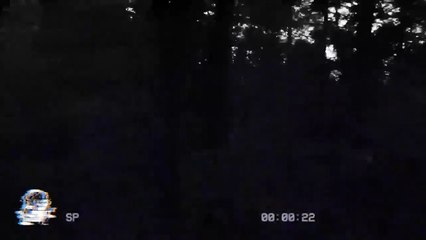 ESA EXTRAÑA FAMILIA DE ANIMALES (Relatos De Horror)