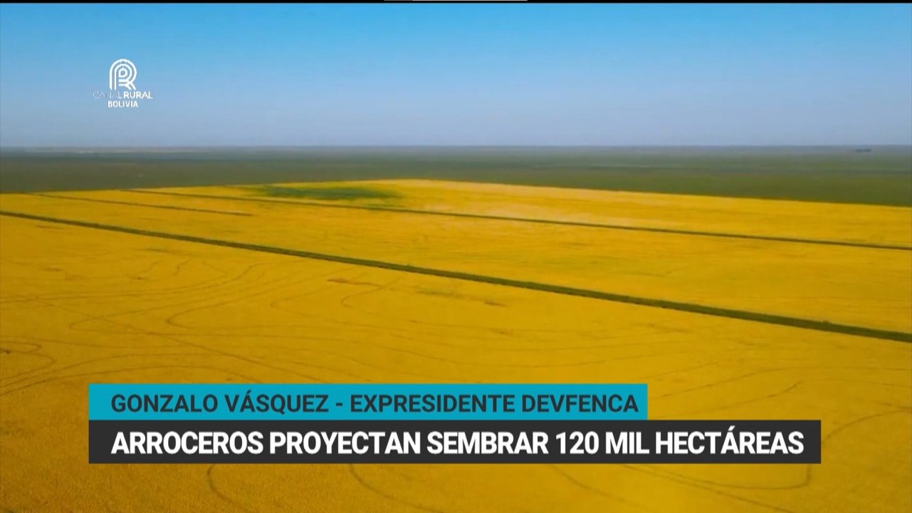 Surgen nuevas plagas e insectos por aumento de temperaturas