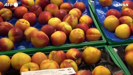 Frutta estiva e granchi blu, autunno pazzo per il caldo