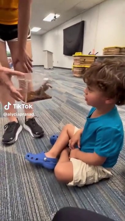 They show a spider to a child #FAIL