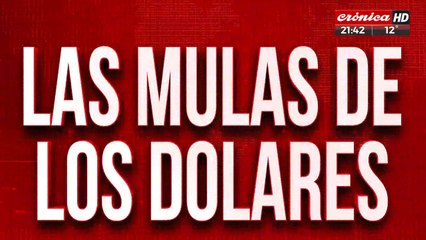 Detención en el barrio chino: dolar, mafia y millones