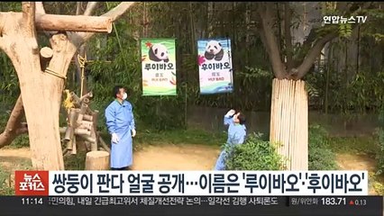 쌍둥이 판다 얼굴 공개…이름은 '루이바오'·'후이바오'