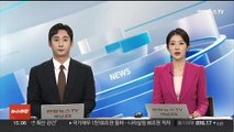 안산 대부도서 외국인 간 집단 패싸움…5명 형사 입건
