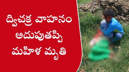చిత్తూరు జిల్లా: అదుపుతప్పి బైక్ బోల్తా... మహిళ దుర్మరణం