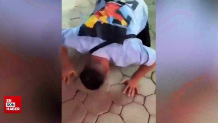 Fotoğraf çektirmeye çalışan adamların aklını alan kaplan