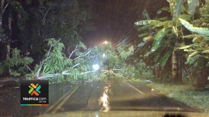 tn7-lluvias-y-fuertes-vientos-provocaron-inundaciones-y-caida-de-aeboles-en-quepos-111023
