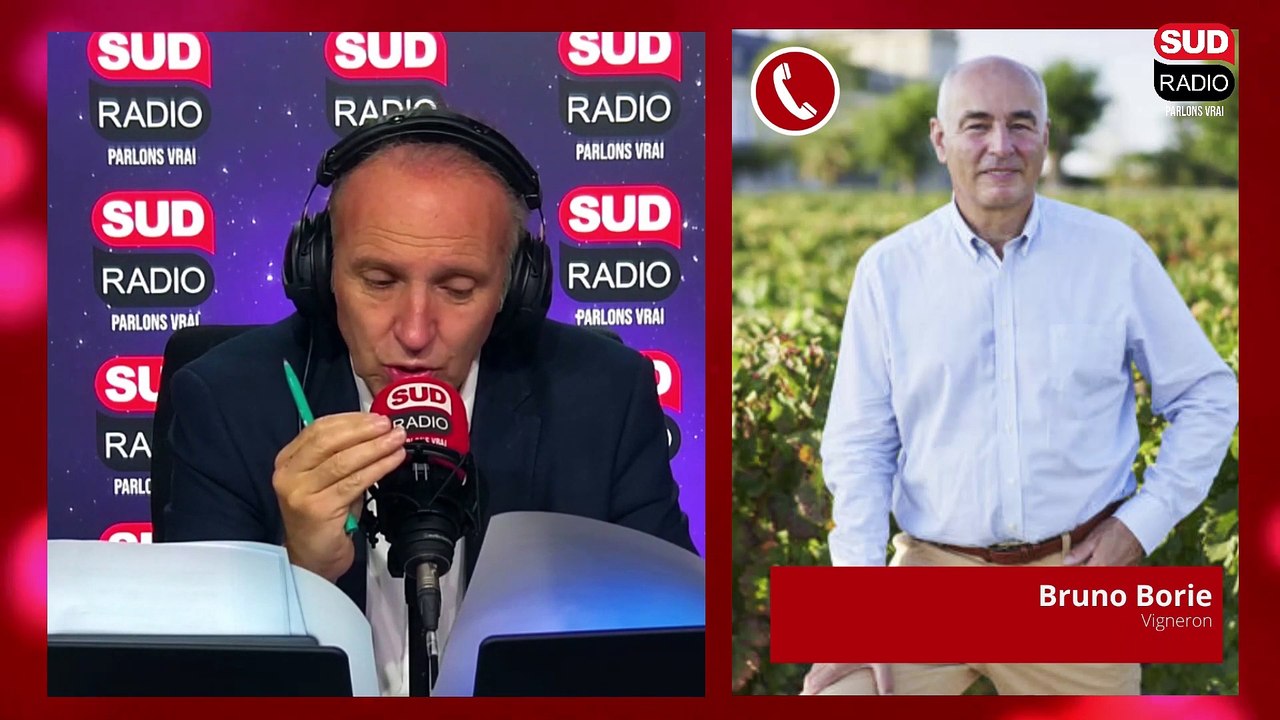 Vin : une fête pour célébrer la fin des vendanges !