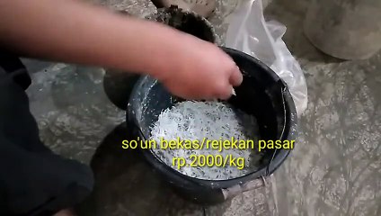 Cara Membuat Pakan Entok yang Murah Meriah