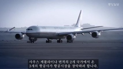 항공시장 개방 논란 재점화: UAE 항공사들의 저가 전략과 한국 정부 압박 🚀