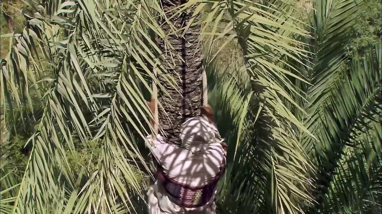 Amazing Quest - Stories from Oman - Somewhere on Earth