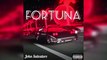 Fortuna Remix - (Techno/Electronica) John Salvatore
