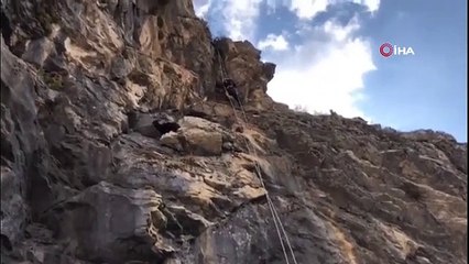 L'AFAD a secouru les chèvres bloquées sur les rochers