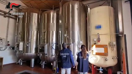 Campagna vinicola 2023, i Nas sequestrano 300 mila litri di prodotti vinosi irregolari