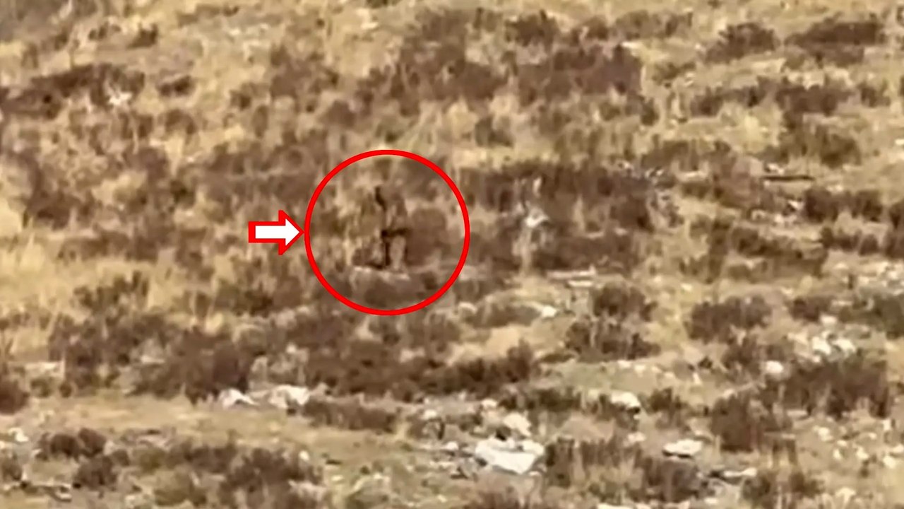 Koca ayak görüldüğü iddia edildi