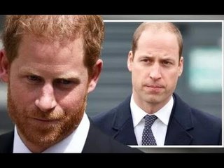 L'"amara esplosione" del principe Harry dopo che William ha "trascinato la famiglia" nella lite dei
