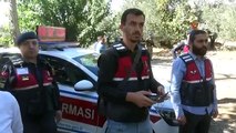 Balıkesir'de Zeytin Hırsızlığına Karşı Jandarma Önlem Alıyor