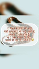 knowledge about snakes