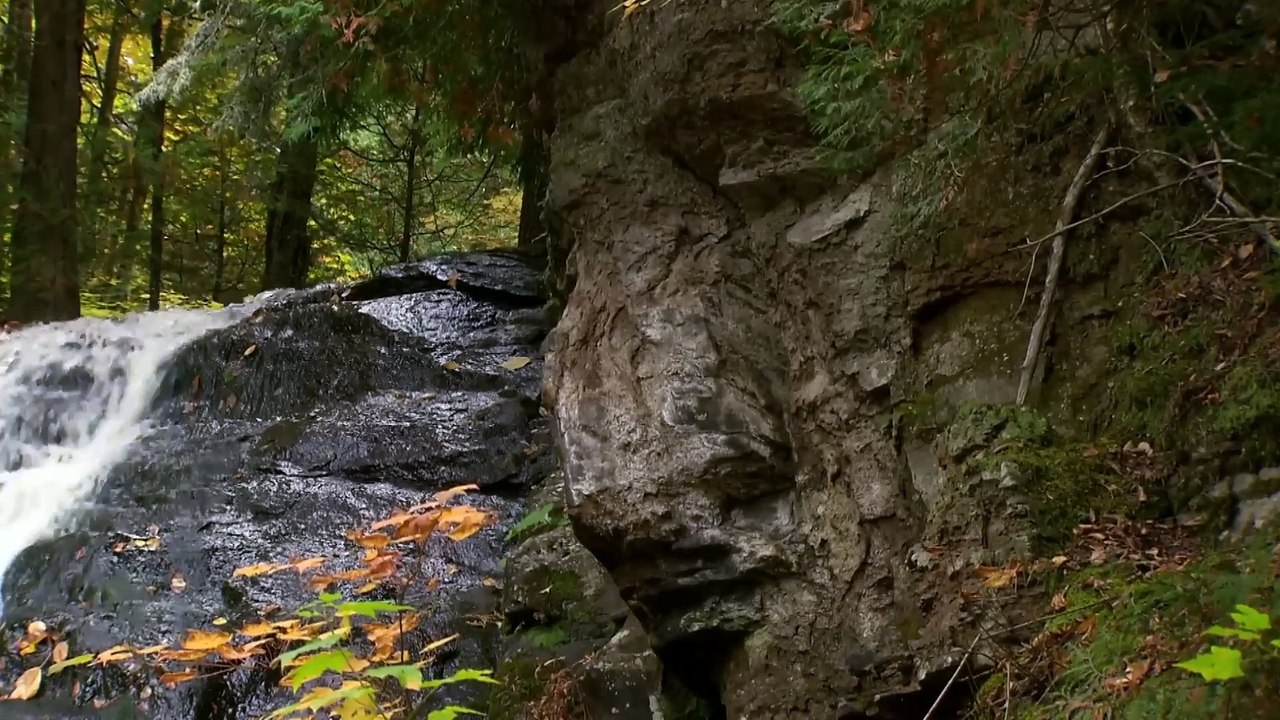 Amazing Quest - Stories from Quebec - Somewhere on Earth
