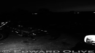 Edward Olive: Portraying the Soul of Harley Davidson Bikers in Black and White