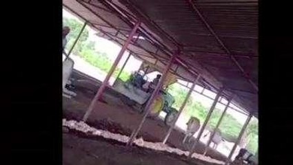 सुलतानपुर में मानवता हुआ शर्मशार! अब वायरल हो रहा वीडियो