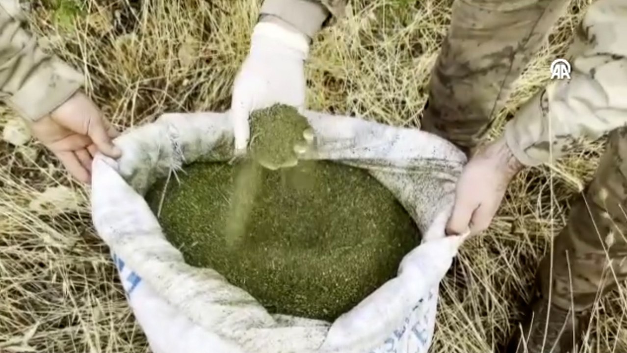 Uyuşturucu operasyonunda 603 kilogram esrar ele geçirildi