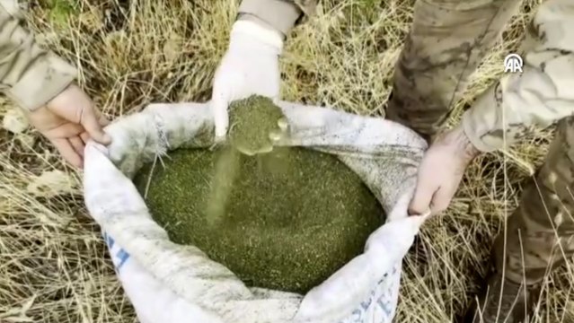 Uyuşturucu operasyonunda 603 kilogram esrar ele geçirildi