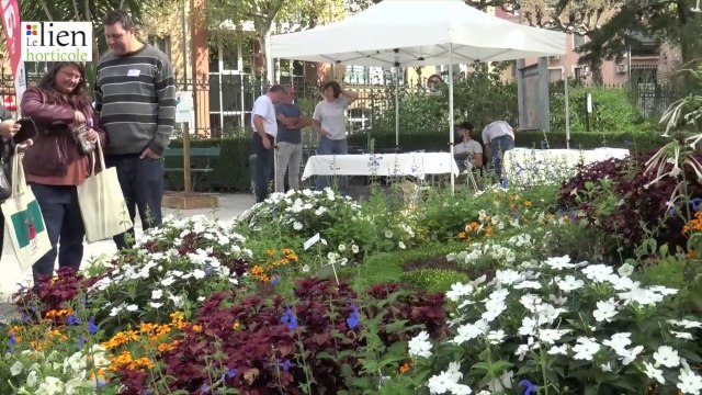 Albi, irrigation des espaces verts