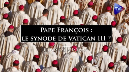 Terres de Mission n°332 - Pape François : le synode de Vatican III ?