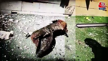 What will be Israel's next step against Palestine?