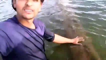 Il touche un énorme anaconda qui nage dans la rivière juste à coté de son bateau