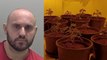 Drug grower claims he found 48 cannabis plants in his house after getting blackout drunk