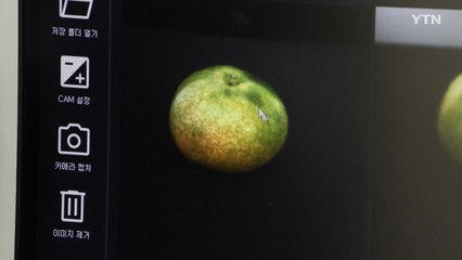 [녹색] '과일 맛' 이젠 눈으로 확인하세요...단맛·신맛 구별 쉬워진다 / YTN