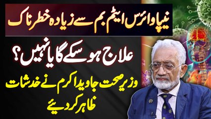 Nipah Virus Is Dangerous Or Not? What Are The Symptoms And Treatment For The Deadly Virus?