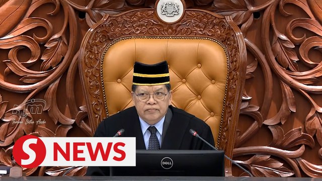 Pendang MP's 'anak papa' remark cut me deep, says Speaker