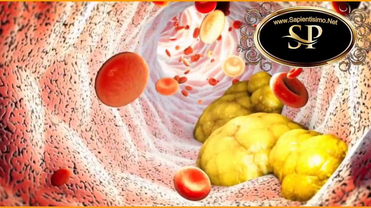 12 beneficios de complementar fucoxantina con astaxantina Vídeo