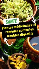 Plantes médicinales : 4 remèdes contre les troubles digestifs