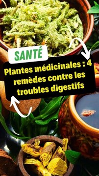 Plantes médicinales : 4 remèdes contre les troubles digestifs