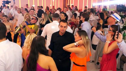 MAČAK MIŠA BEND Dubioza kolektiv