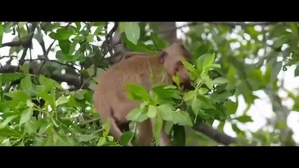 New Action Movies 2023 Full Length English latest HD New Best Action Movies HD #583