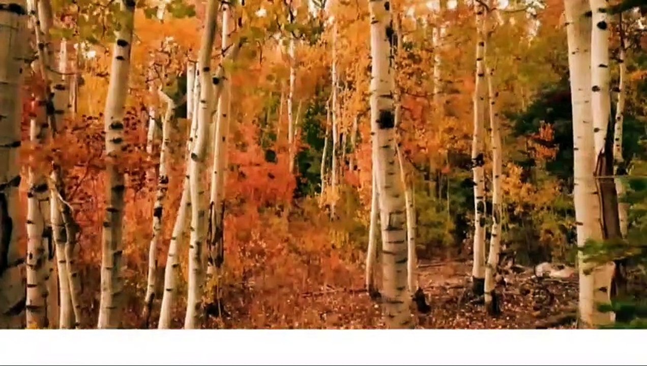 Akhir mimpi...Tragedy_Total