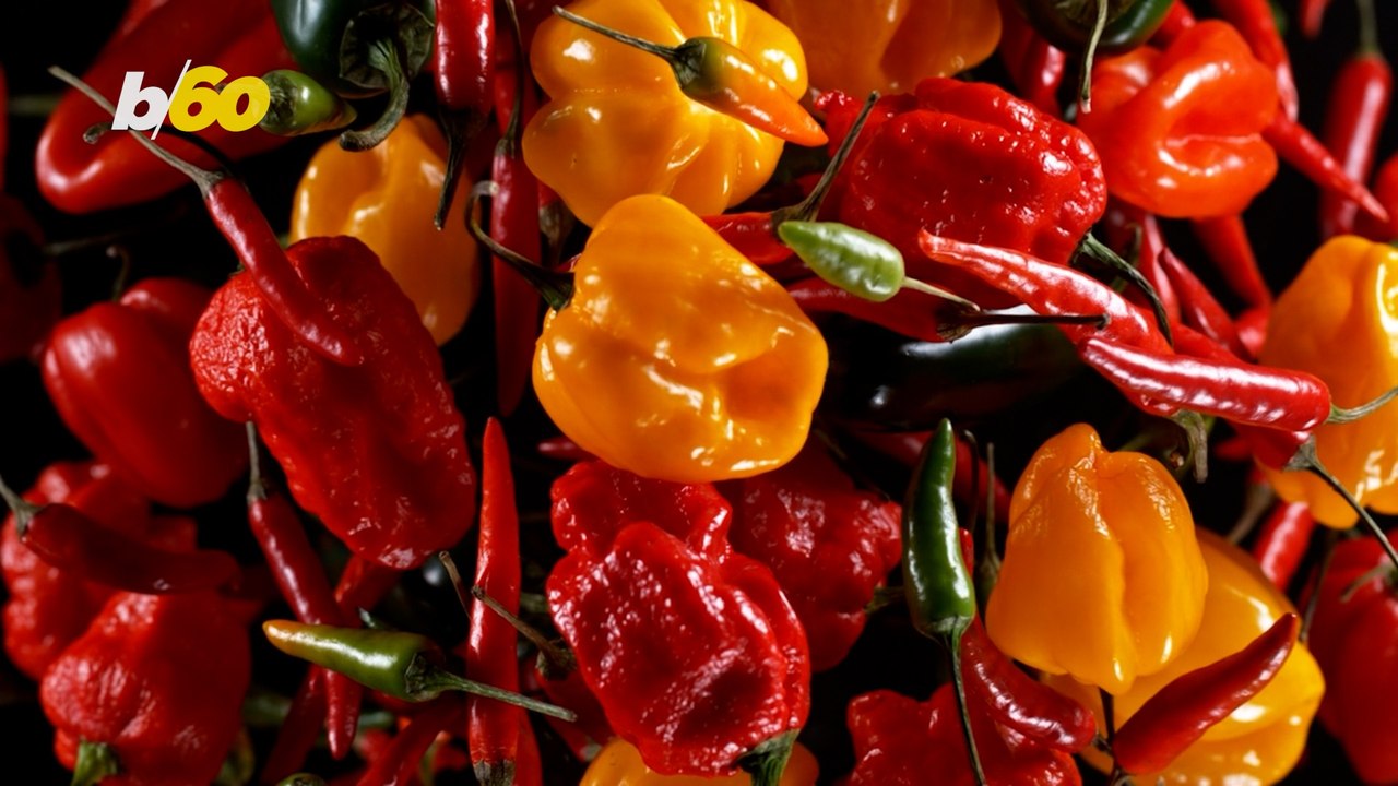Pepper X is the World’s Newest and Hottest Pepper Ever video Dailymotion