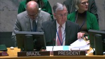 مجلس الأمن يفشل في التصويت على قرار برازيلي يدين الحرب بين إسرائيل وحماس