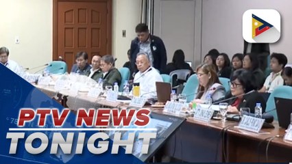 Sen. Cynthia Villar raises Socorro Bayanihan Services' issue during DENR budget hearing