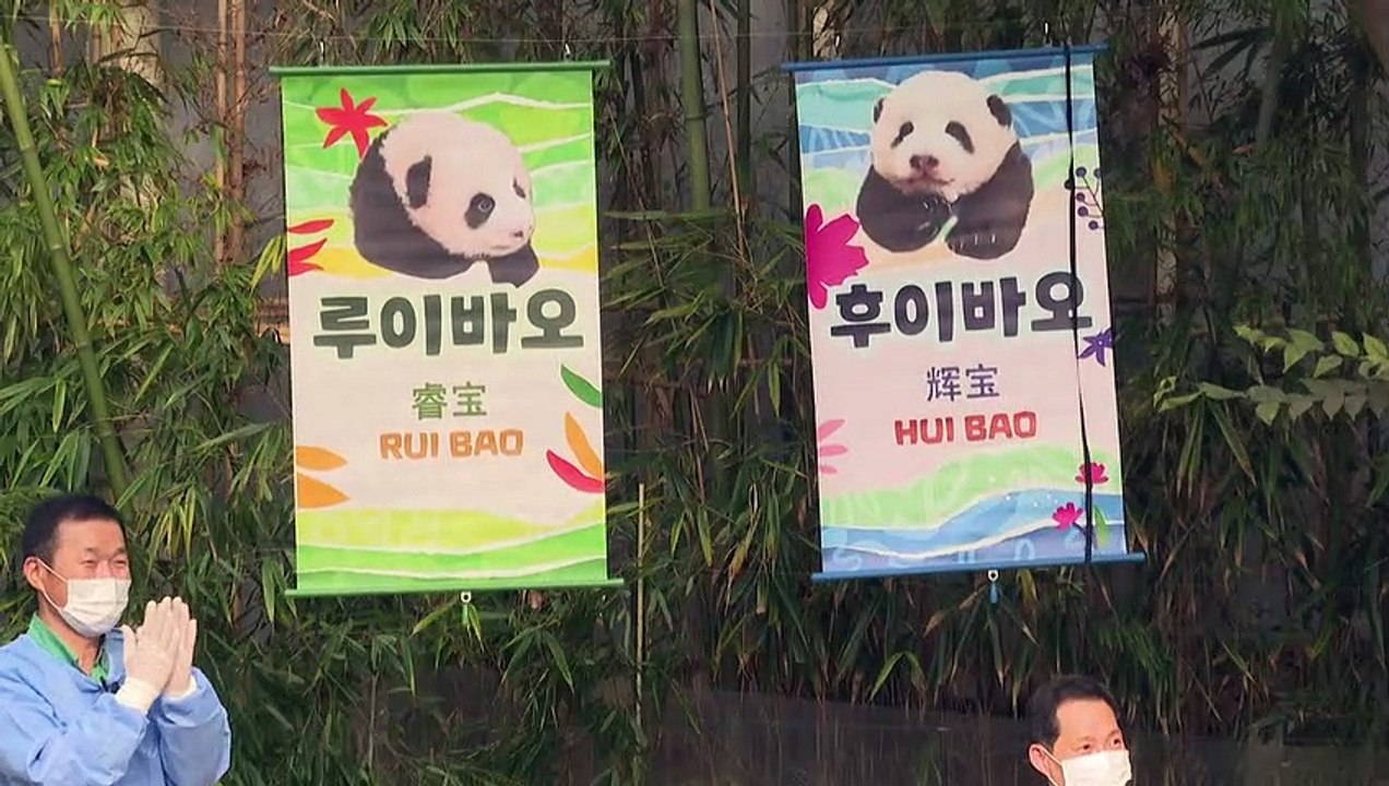 In Südkorea geborene Riesenpanda-Zwillinge als 'Schätze' benannt