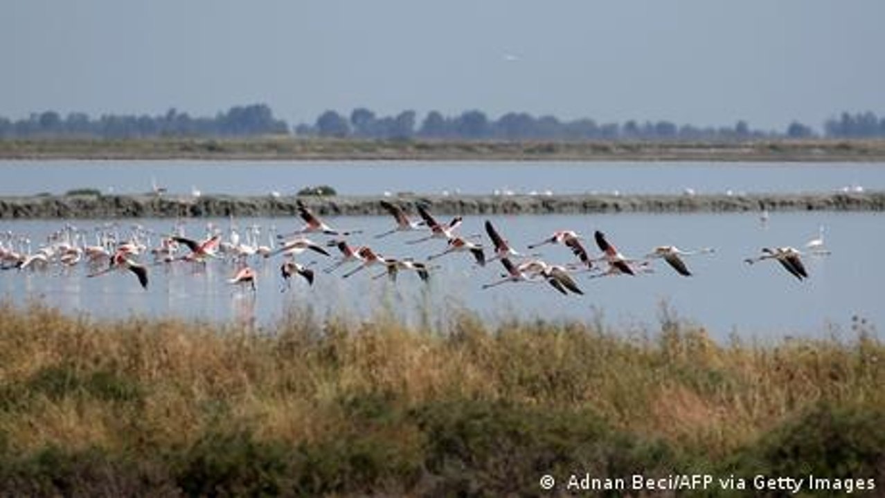 Ein Flughafen am Nationalpark in Albanien