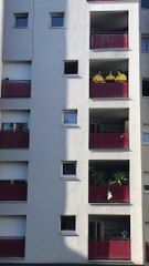 "Je veux te chanter ça", 2021