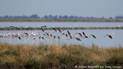 Albania’s airport by a national park